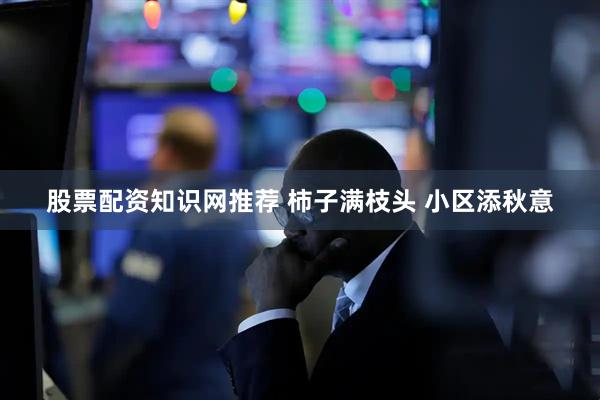 股票配资知识网推荐 柿子满枝头 小区添秋意